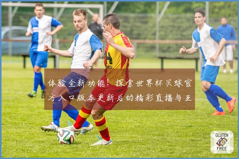 体验全新功能!探索世界杯买球官方入口版本更新后的精彩直播与互动体验