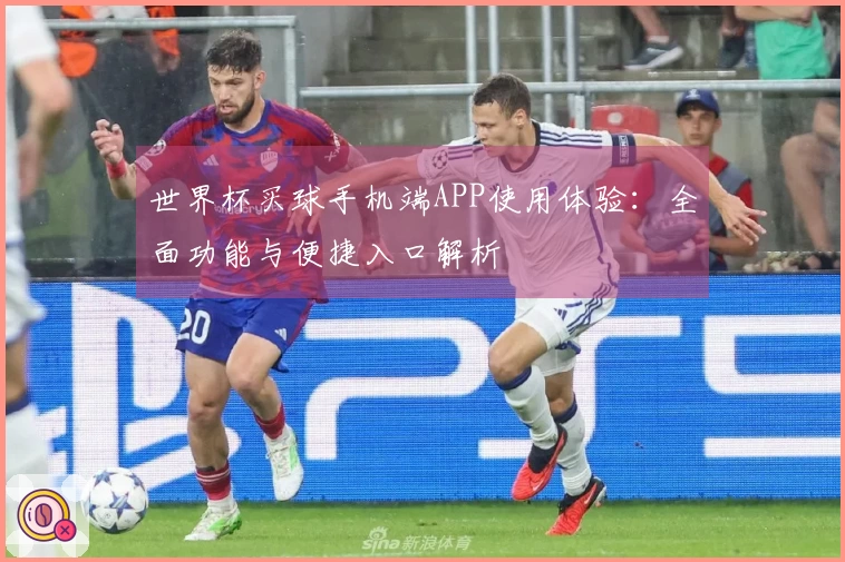世界杯买球手机端APP使用体验：全面功能与便捷入口解析