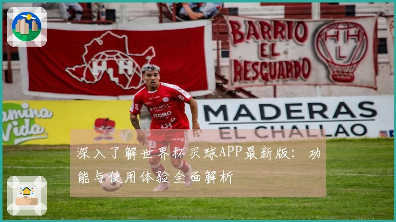 深入了解世界杯买球APP最新版：功能与使用体验全面解析
