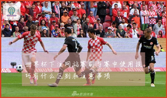 世界杯下注网站赛前与赛中使用技巧有什么区别和注意事项