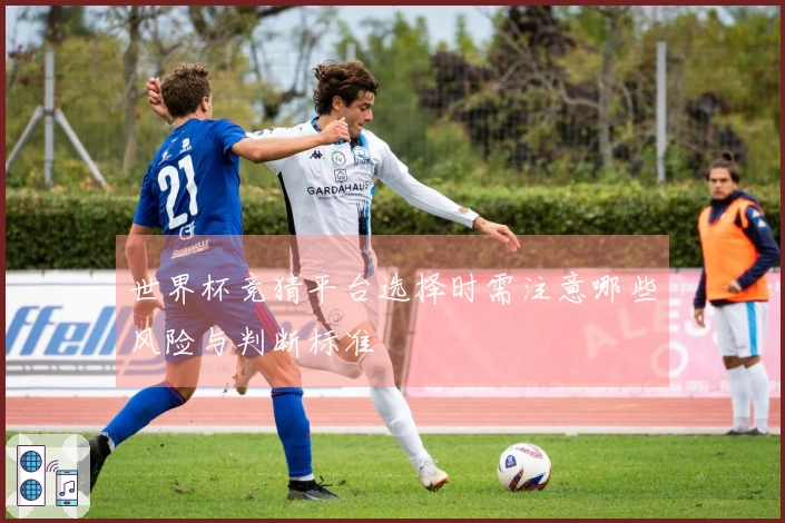 世界杯竞猜平台选择时需注意哪些风险与判断标准