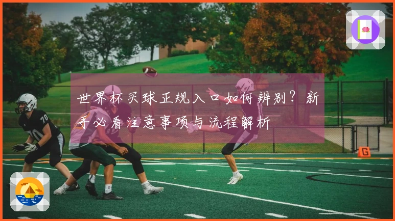 世界杯买球正规入口如何辨别？新手必看注意事项与流程解析