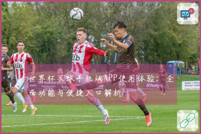世界杯买球手机端APP使用体验：全面功能与便捷入口解析