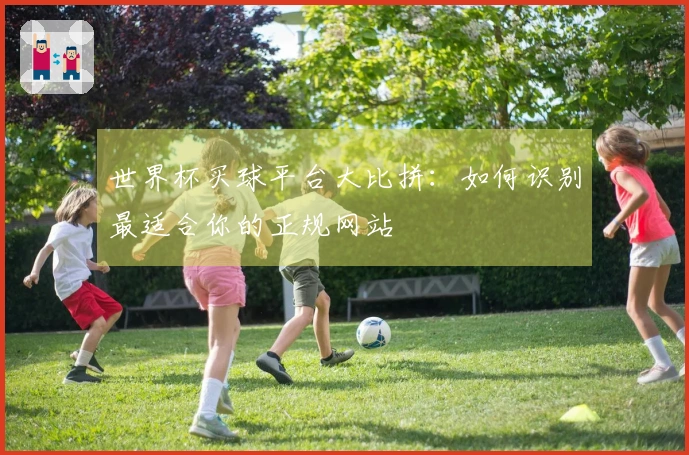 世界杯买球平台大比拼:如何识别最适合你的正规网站
