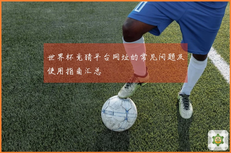 世界杯竞猜平台网址的常见问题及使用指南汇总