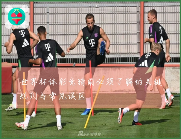 世界杯体彩竞猜前必须了解的关键规则与常见误区