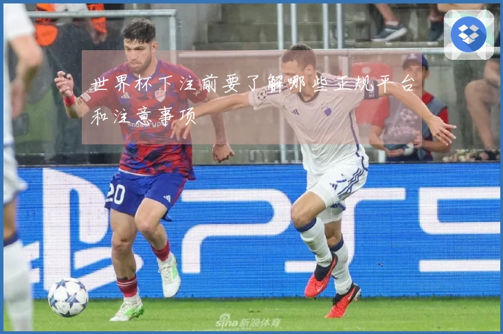 世界杯下注前要了解哪些正规平台和注意事项