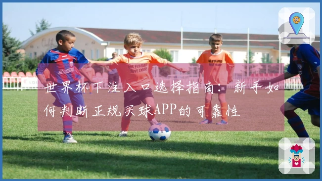 世界杯下注入口选择指南:新手如何判断正规买球APP的可靠性