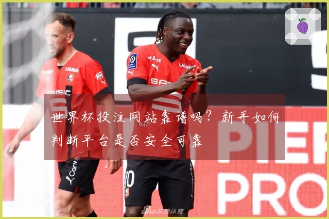 世界杯投注网站靠谱吗？新手如何判断平台是否安全可靠