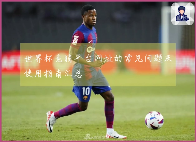 世界杯竞猜平台网址的常见问题及使用指南汇总