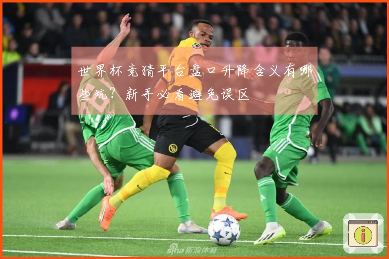 世界杯竞猜平台盘口升降含义有哪些坑？新手必看避免误区