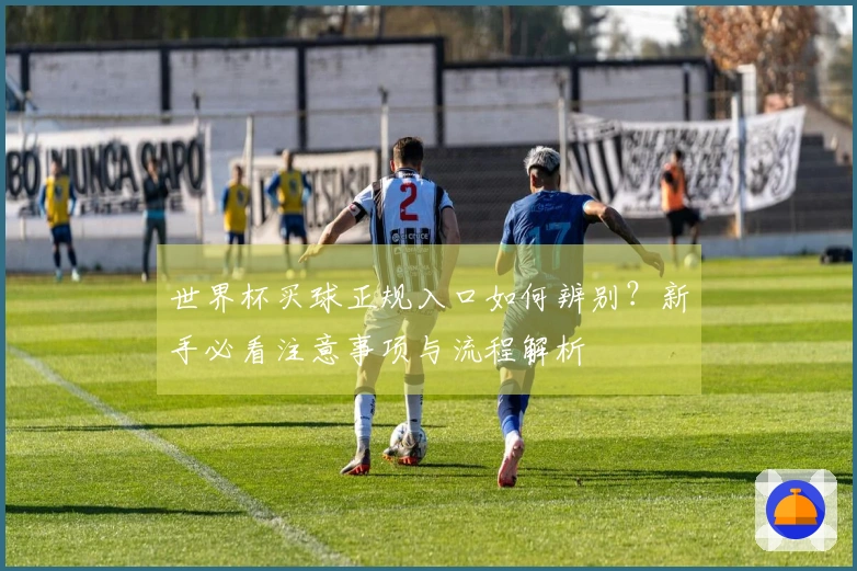 世界杯买球正规入口如何辨别?新手必看注意事项与流程解析
