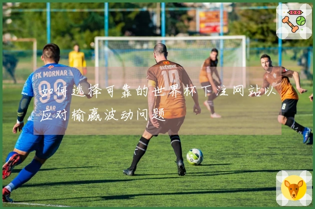 如何选择可靠的世界杯下注网站以应对输赢波动问题