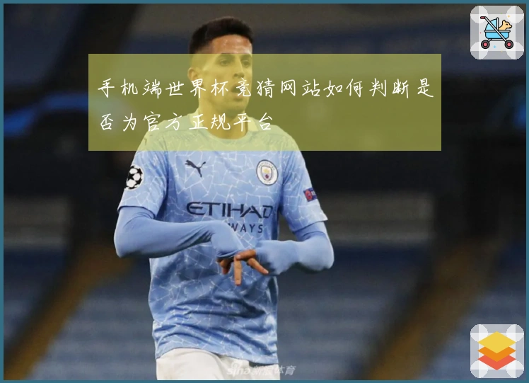 手机端世界杯竞猜网站如何判断是否为官方正规平台