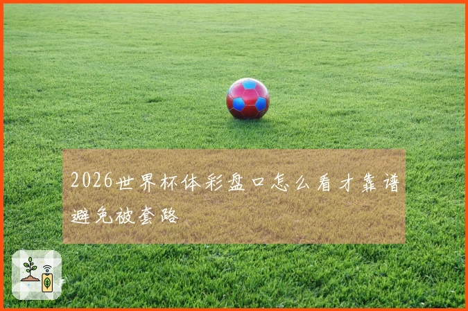 2026世界杯体彩盘口怎么看才靠谱避免被套路
