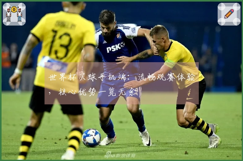 世界杯买球手机端：流畅观赛体验，核心优势一览无余